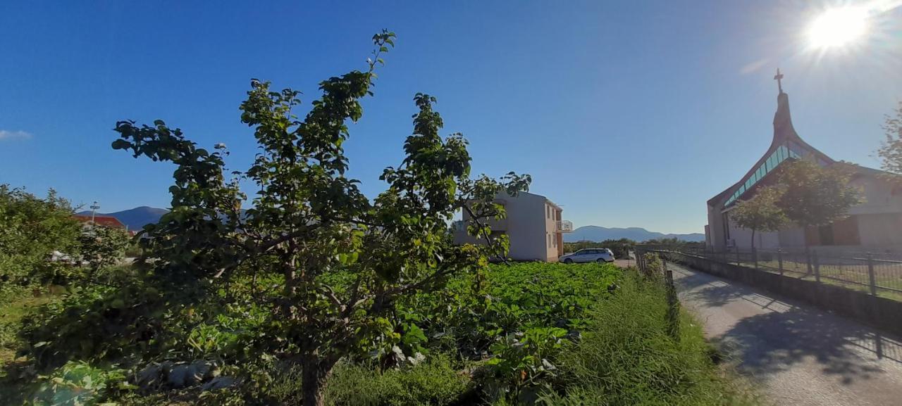 Ana, Apartman